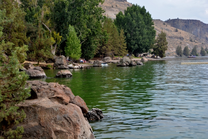 the water's edge